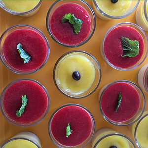 Pannacotta