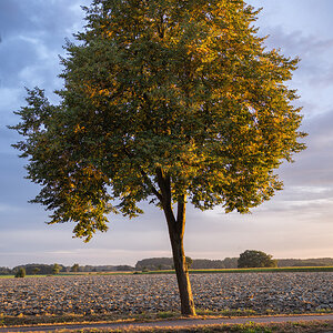 P9160285b
