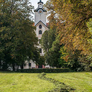 gemähte Wiese Hohenburg