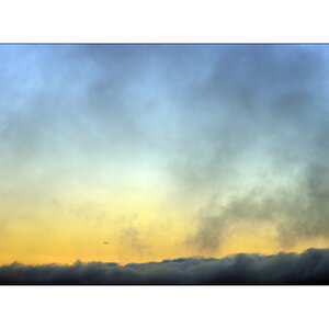 MorgenPZ1 6020