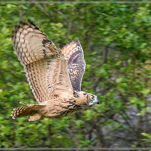 20160626 5580 [NIKON D500] 500 mm,1 500 Sek. bei ƒ   4,0
