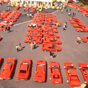 Rot 007