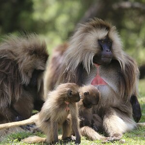 Foto: DIAMIR / Thomas Kimmel