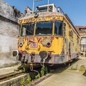 IMG 4637