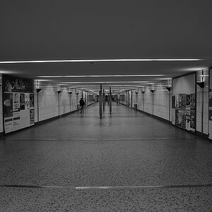 DSC 4003
