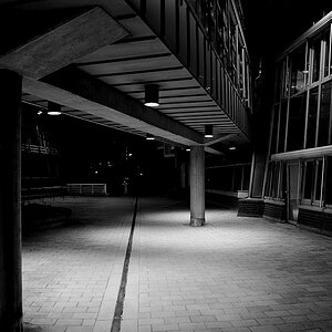 DSC 3590 sw