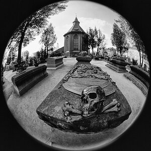 DSC 0009 02