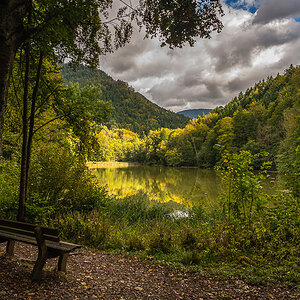 Schlossweiher im Herbst