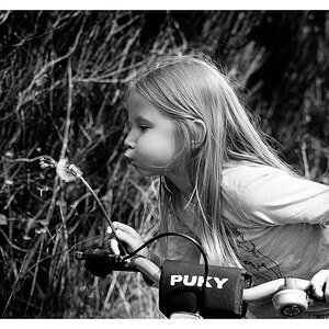 comp DSC 4722