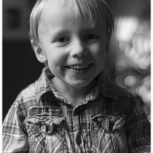 comp DSC 6635