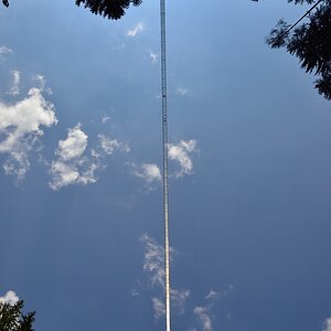 DSC 4980 C