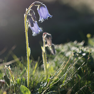IMG8367 02