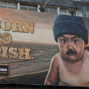 Borntofish
