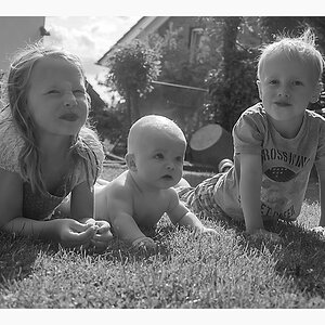 comp DSC 7192