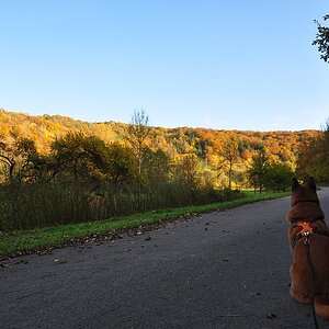 DSC 3219
