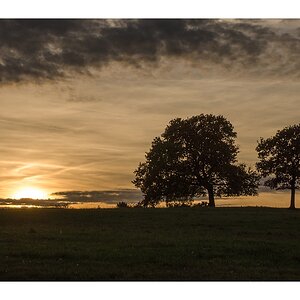 comp DSC 7187 200px