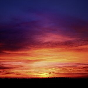 DSCF7463 NFF2