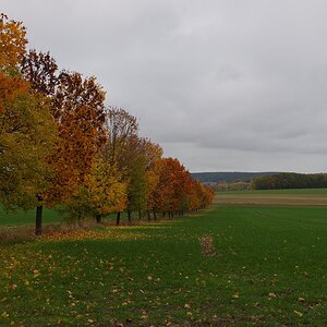 610 013964 Herbst 1020