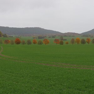 610 013967 Herbst 1020