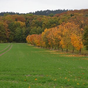 610 013970 Herbst 1020