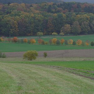 610 014010 Herbst 1020
