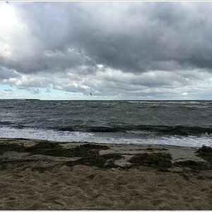 IMG 0952