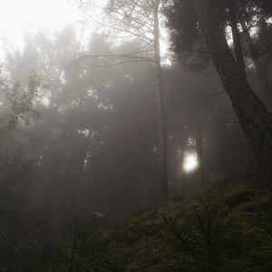 Herbstnebel