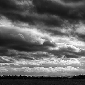 DSC 6387 SW