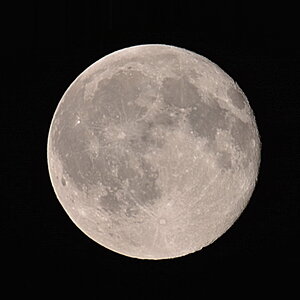 mond2