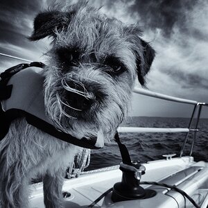 Seekadett Henry hält Ausguck an Bord der Segelyacht SMULA. Vorbildlich mit Schwimmweste. Läääääuft..........