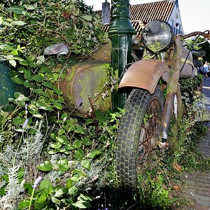 Zeeland(42)