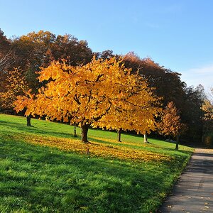 Herbst