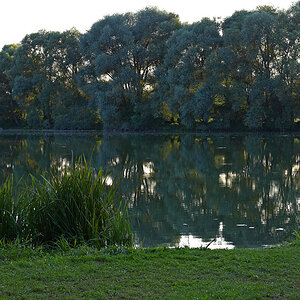 Weiher