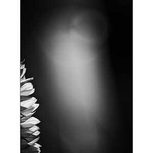 ClaudiaPZ1 6730