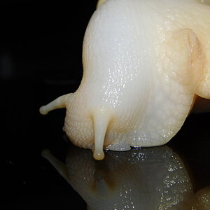 DSCN0094