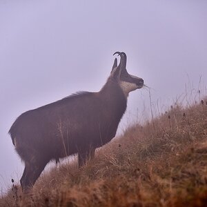 2016 17770
