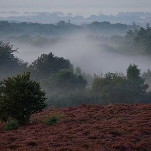 Herbstmorgen