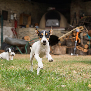 komplettes Bild