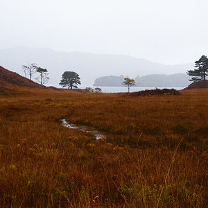 Loch Morar in Autumn I