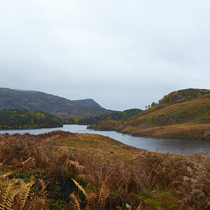 Loch Morar in Autumn II