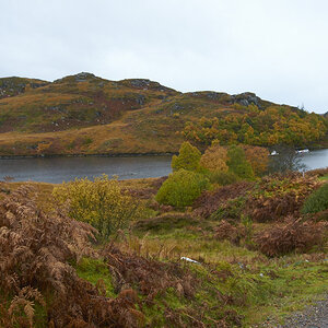 Loch Morar in Autumn III