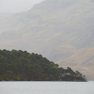 The Island in the Fog