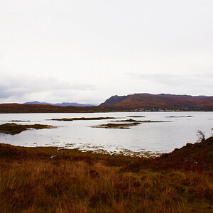 Autumn near Arisaig II