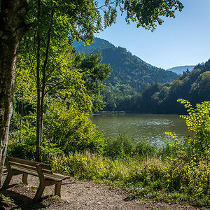 Schlossweiher Hohenburg
