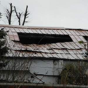 DSCN0178 01