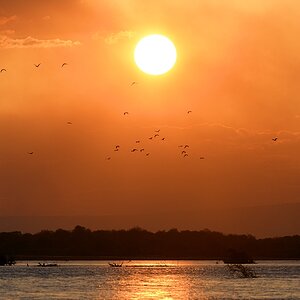 Sonnenuntergang auf dem Rufiji River
Selous Game Reserve

s1595 Selous Sonnenuntergang 2340