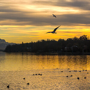 Abendstimmung Starnberger See