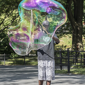 Bubbles NY