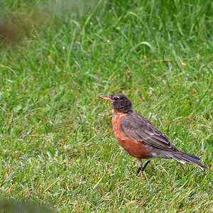 DSC 2886 khg