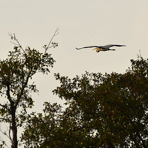 DSC 1780 khg
